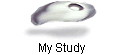 My Study